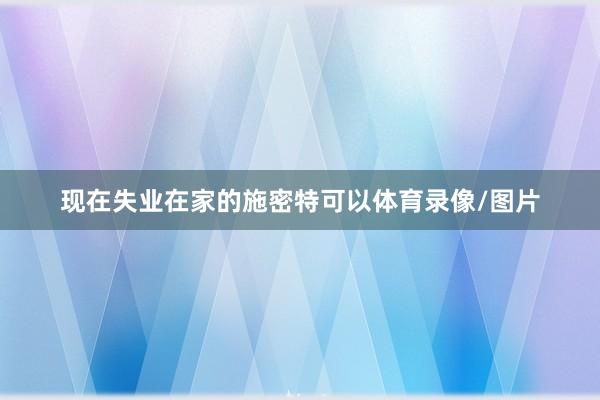 现在失业在家的施密特可以体育录像/图片