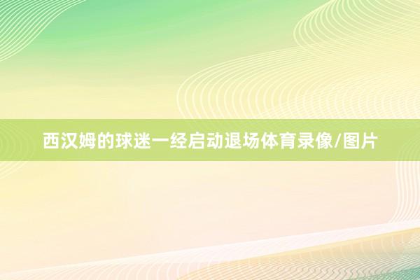 西汉姆的球迷一经启动退场体育录像/图片