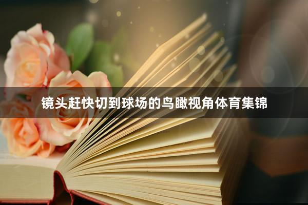 镜头赶快切到球场的鸟瞰视角体育集锦