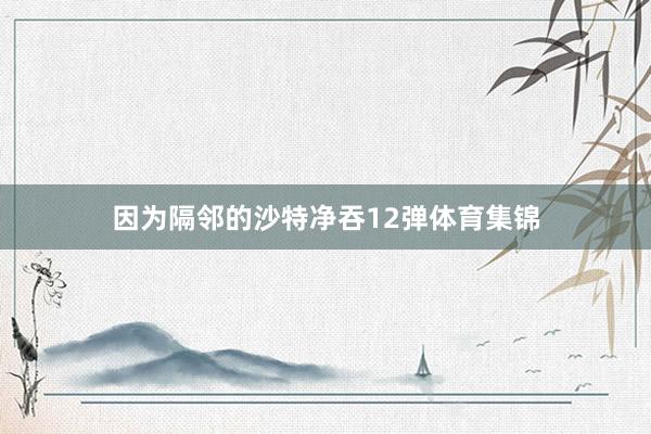 因为隔邻的沙特净吞12弹体育集锦