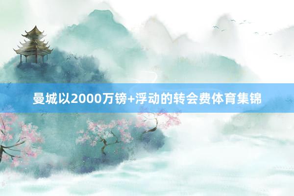 曼城以2000万镑+浮动的转会费体育集锦