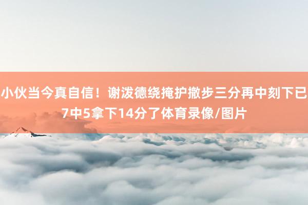 小伙当今真自信！谢泼德绕掩护撤步三分再中刻下已7中5拿下14分了体育录像/图片