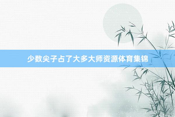 少数尖子占了大多大师资源体育集锦