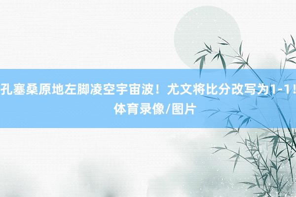 孔塞桑原地左脚凌空宇宙波！尤文将比分改写为1-1！    体育录像/图片