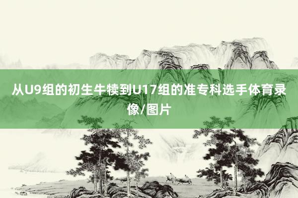 从U9组的初生牛犊到U17组的准专科选手体育录像/图片