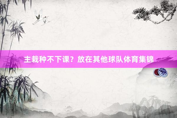 主栽种不下课？放在其他球队体育集锦
