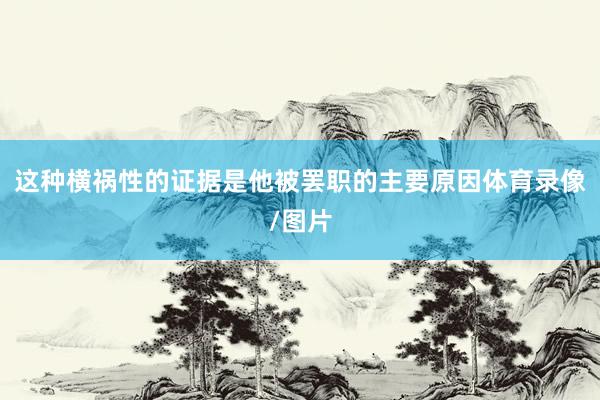 这种横祸性的证据是他被罢职的主要原因体育录像/图片