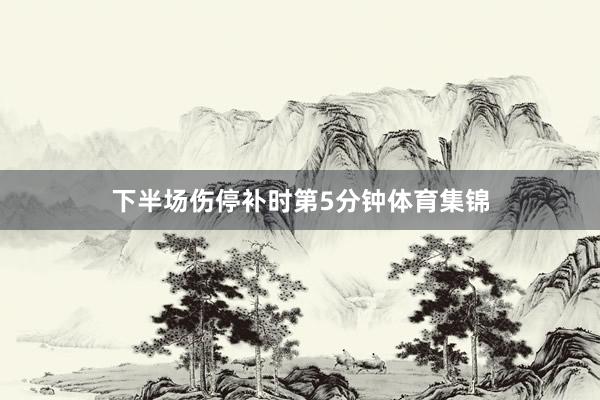 下半场伤停补时第5分钟体育集锦
