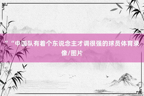 ”“中国队有着个东说念主才调很强的球员体育录像/图片