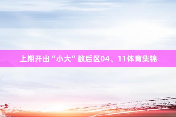 上期开出“小大”数后区04、11体育集锦