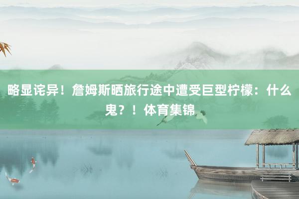 略显诧异！詹姆斯晒旅行途中遭受巨型柠檬：什么鬼？！体育集锦