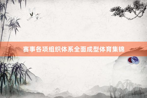 赛事各项组织体系全面成型体育集锦