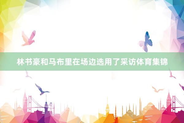 林书豪和马布里在场边选用了采访体育集锦
